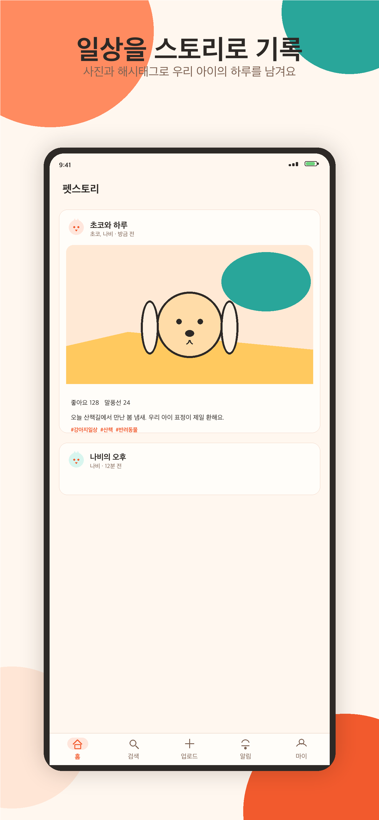 홈 피드